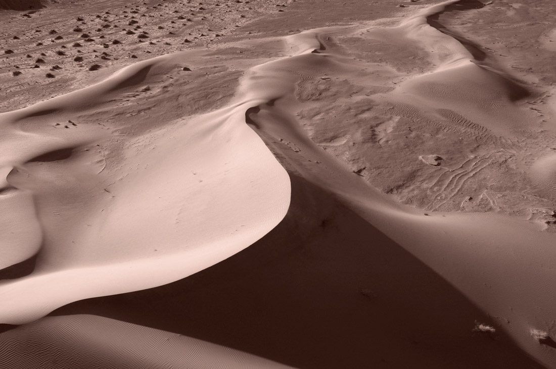 Sand dunes shaped by the wind