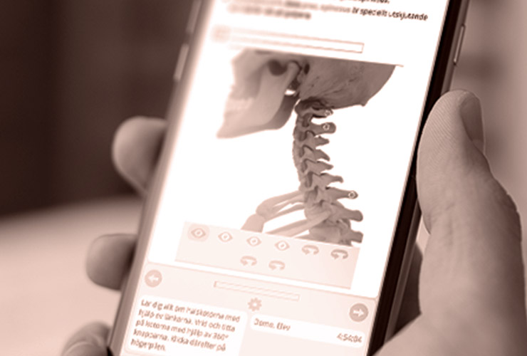 Axelsons e-learning platform — image 2